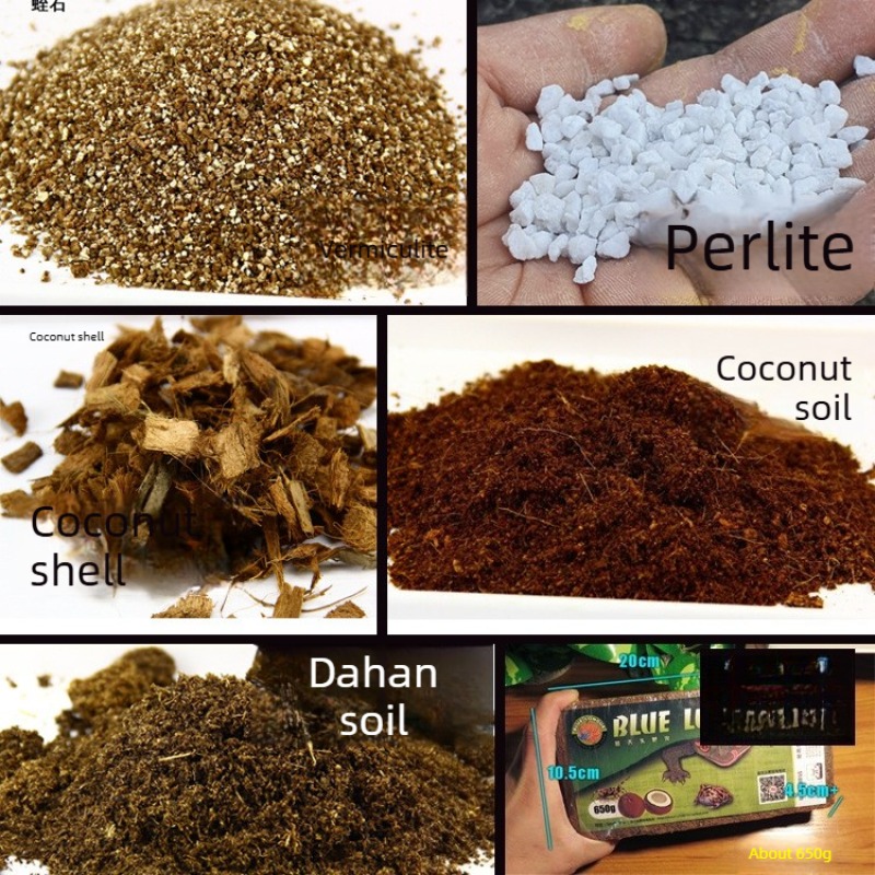 Sphagnum Moss Dry - Кокосовый субстрат для рептилий, черепах, гекконов,