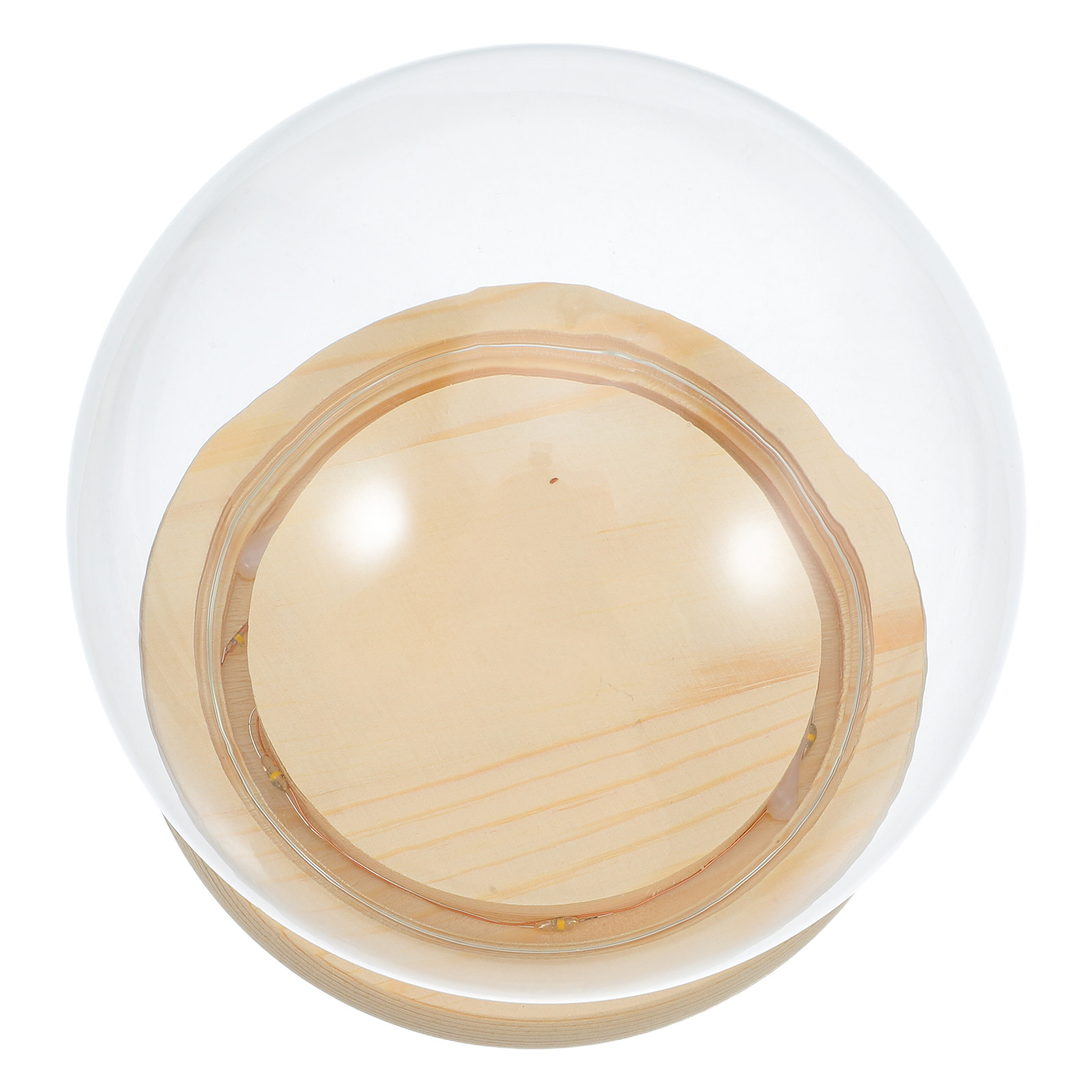 Plastic Dome Clear - Стеклянный купол для сухоцветов: элегантный прозрачный