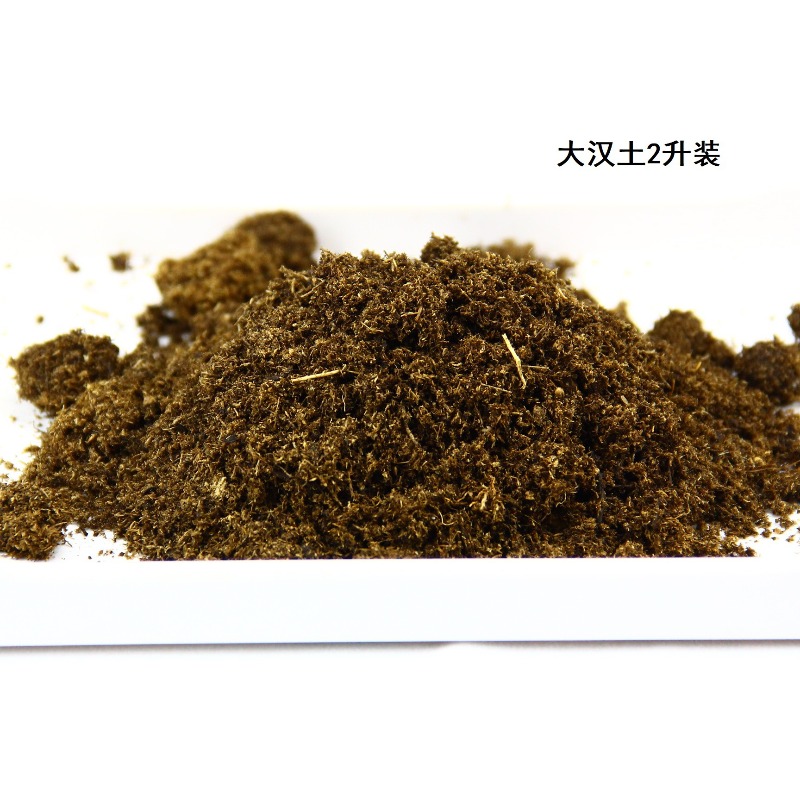 Кокосовый субстрат для рептили – обзор и цена Sphagnum Moss Dry