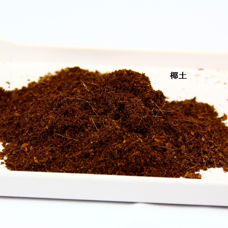 Кокосовый субстрат для рептили – обзор и цена Sphagnum Moss Dry