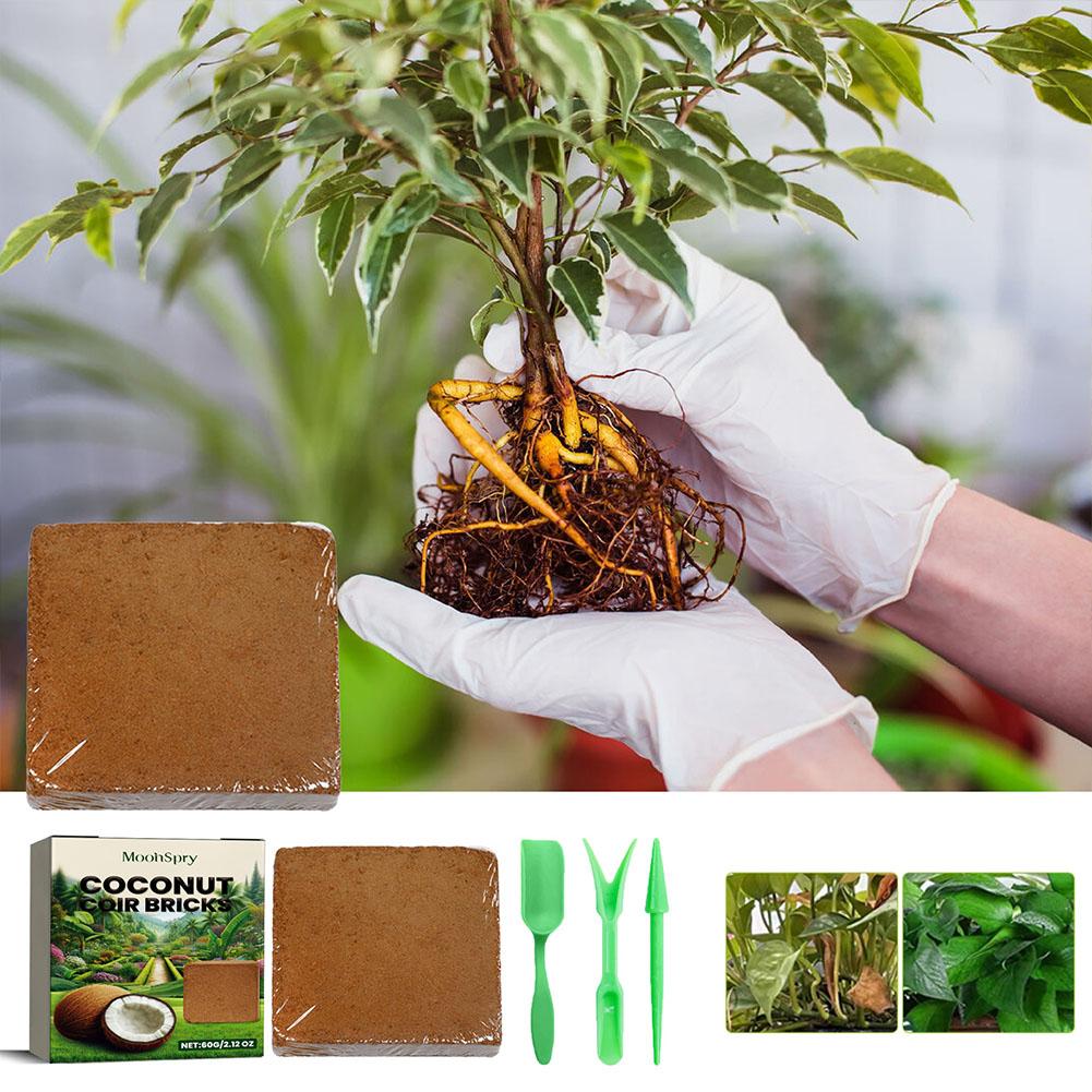 Кокосовый субстрат в брикетах  – обзор и цена Sphagnum Moss Dry