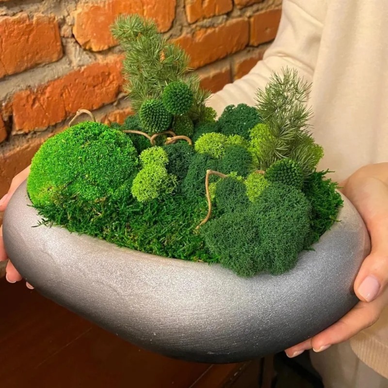 Искусственный зеленый мох для  – обзор и цена Sphagnum Moss Dry