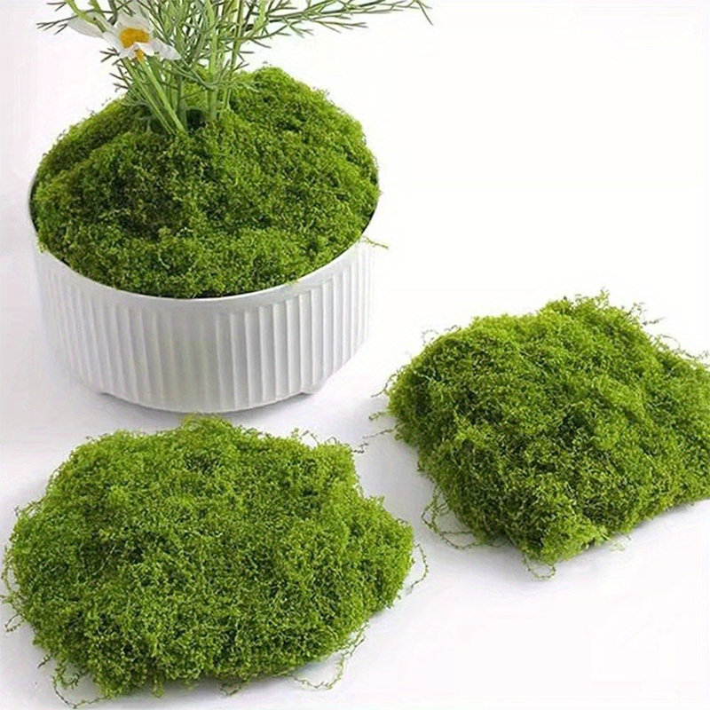 Зеленый Поддельный Мох DIY Рем – обзор и цена Sphagnum Moss Dry