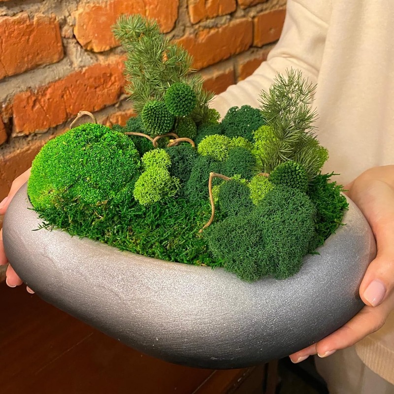 Искусственные зеленые растения – обзор и цена Sphagnum Moss Dry